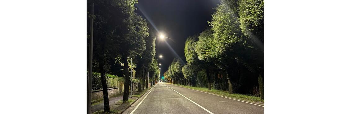 Immagine: via Maraschin