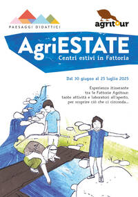 Immagine: Volantino 2025